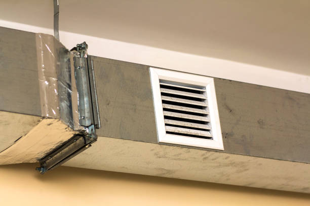 Best Ductwork Cleaning Services  in Riverse, ID